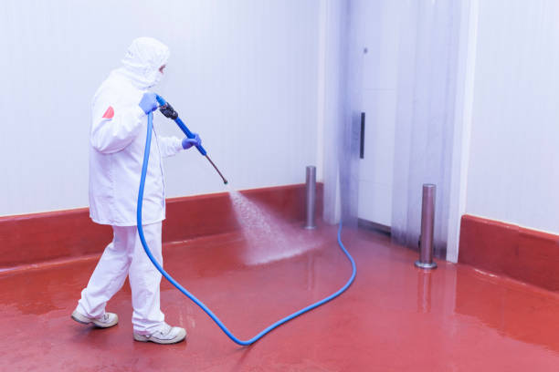 Trusted Stanton, KY Pressure Washing Services Experts